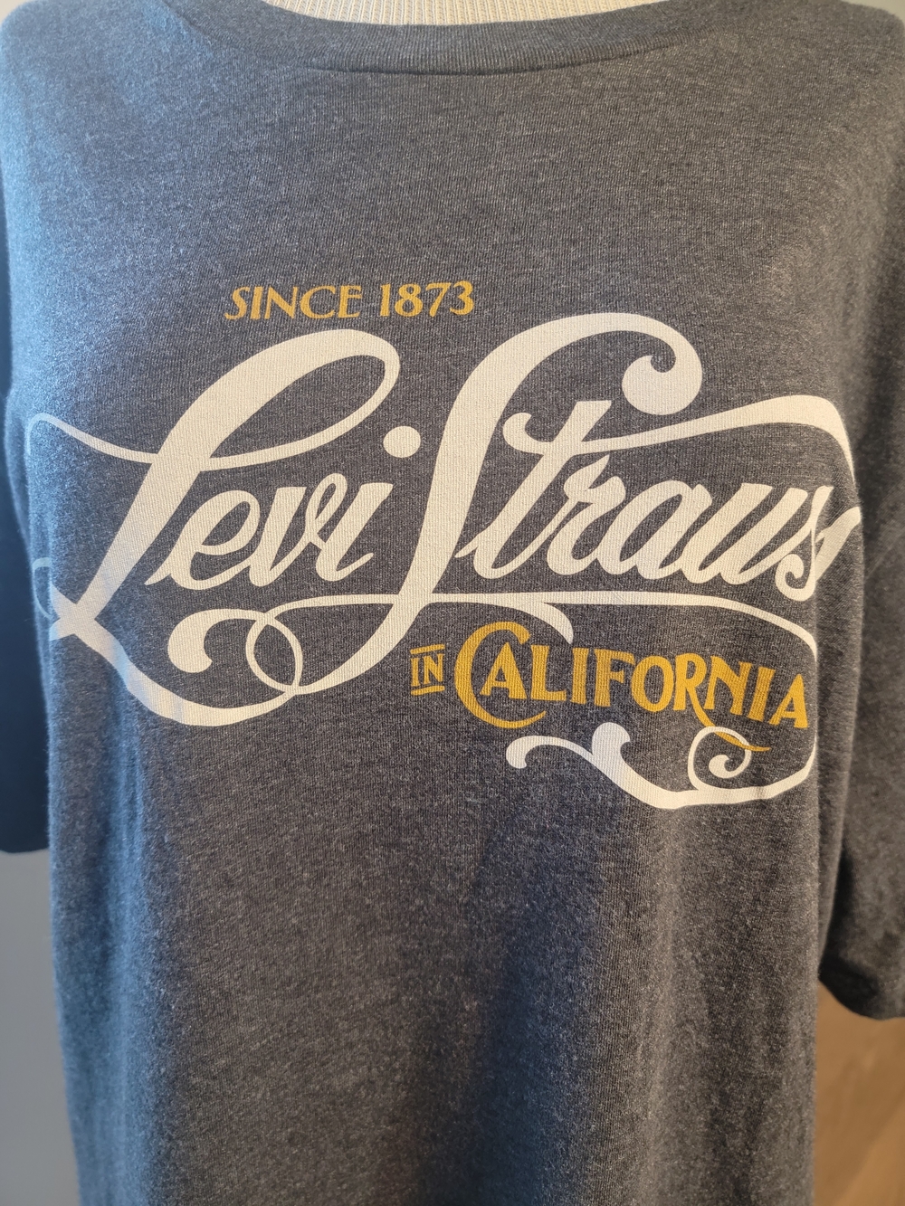 Levi's Men's Gray Graphic Tee - California Logo